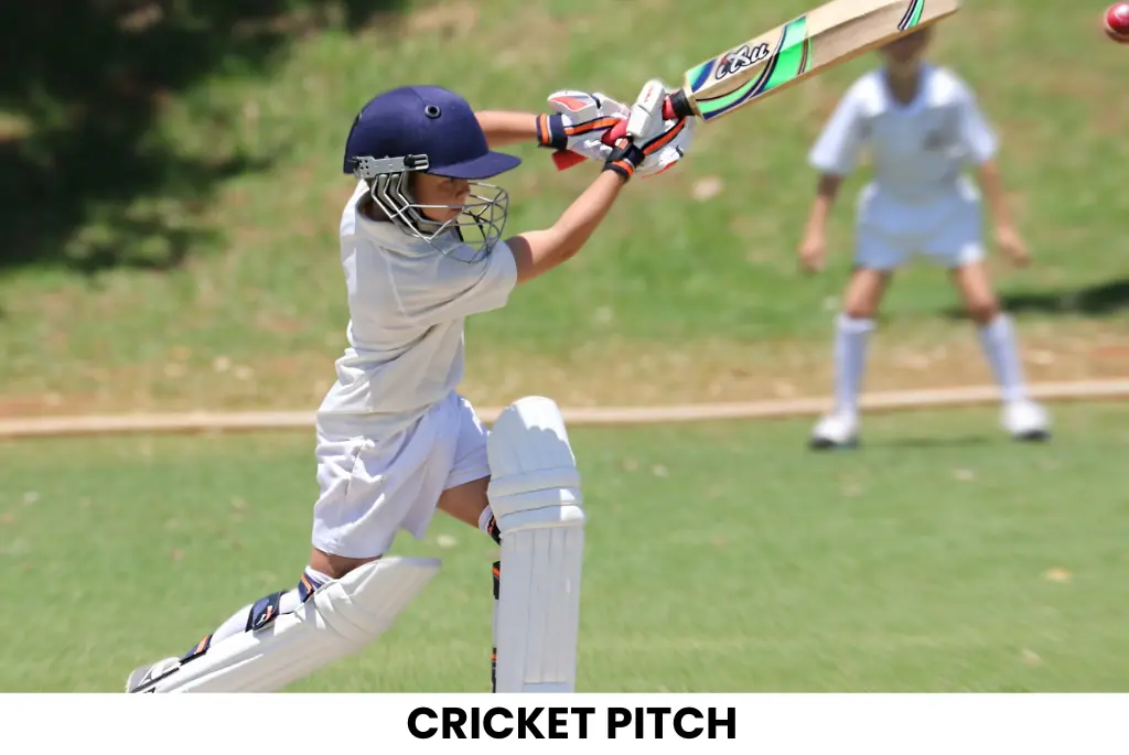 CRICKET PITCH